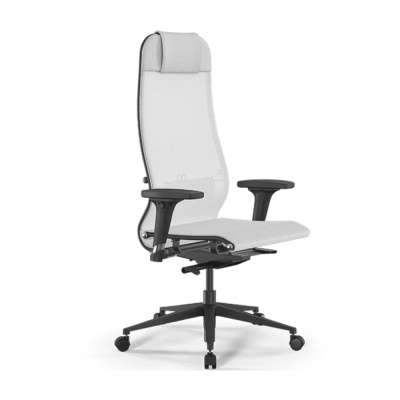 Кресло компьютерное ErgoLife SynchroSit 10 B1-104D, сетка, черный