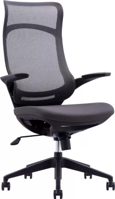 Кресло компьютерное EVERPROF Spirit, сетка, черный