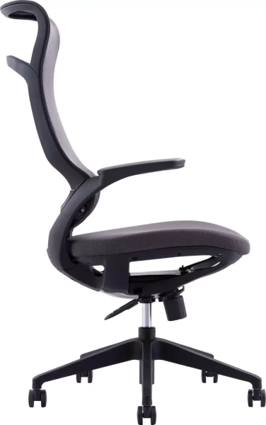 Кресло компьютерное EVERPROF Spirit, сетка, черный