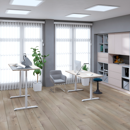 Стол подъемный WellDesk Evolution (регулируемый по высоте каркас арт. 9022022 и столешница арт. 9091494)