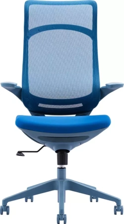 Кресло компьютерное EVERPROF Spirit, сетка, синий