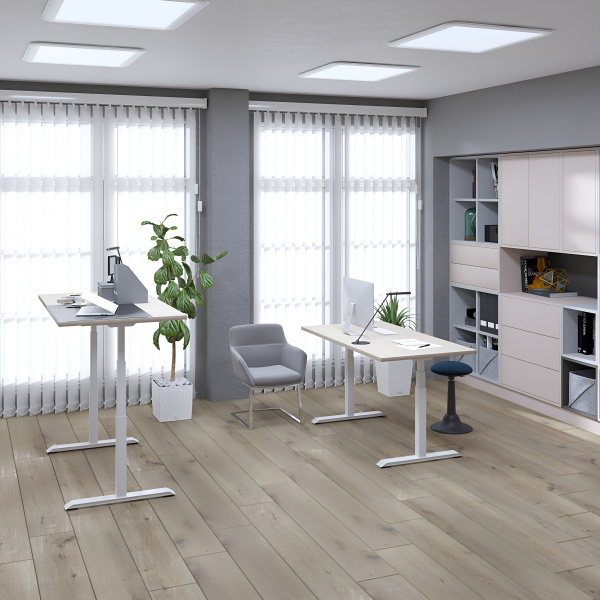 Стол подъемный WellDesk Evolution (регулируемый по высоте каркас арт. 9022024 и столешница арт. 9041928)