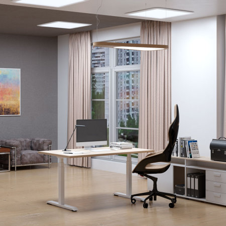 Стол подъемный WellDesk Evolution (регулируемый по высоте каркас арт. 9022022 и столешница арт. 9091494)