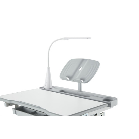 Растущая парта со стулом FunDesk Bellissima Grey, серый