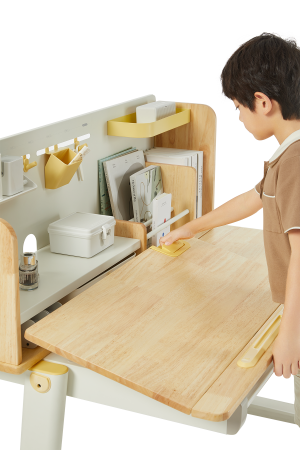 Стол Ergosmart регулируемый Galleon, 1200х700х(520-760) мм, гевея, с книжной полкой