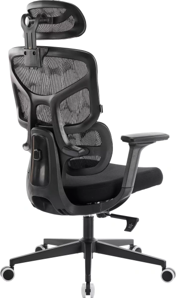 Кресло эргономичное EVERPROF Omega, Black, сетка, черный, металл, корпус черный Кресло эргономичное EVERPROF Omega, Black, сетка, черный, металл, корпус черный
