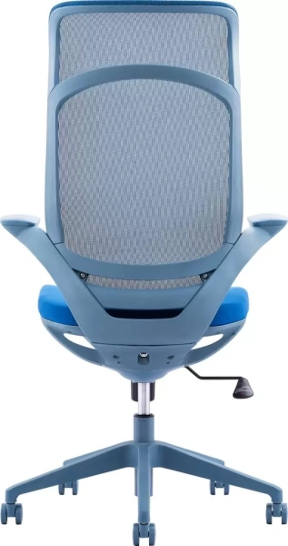 Кресло компьютерное EVERPROF Spirit, сетка, синий