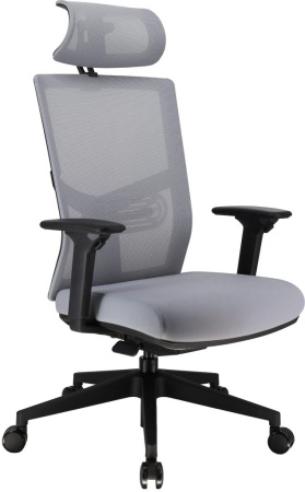 Кресло компьютерное EVERPROF Fuji сетка, серый, крестов. пластик