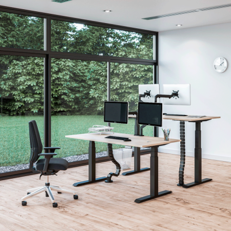 Стол подъемный WellDesk Flagman Bluetooth, (регулируемый по высоте каркас арт. 9042497 и столешница арт. 9031919)