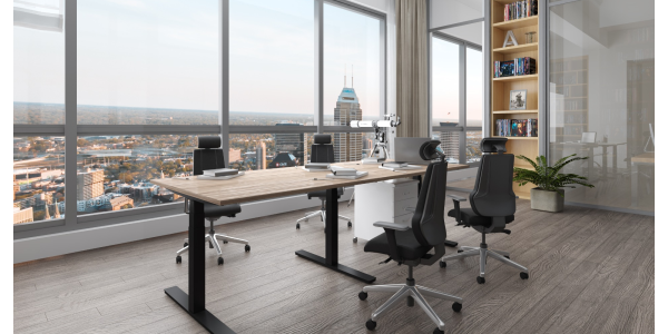 Стол подъемный WellDesk Idea (регулируемый по высоте каркас арт. 9033754 и столешница арт. 9111937) Стол подъемный WellDesk Idea (регулируемый по высоте каркас арт. 9033754 и столешница арт. 9111937)