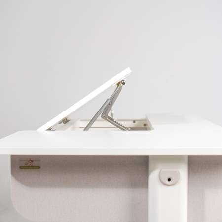 Комплект Ergosmart ученический Caravel S: стол регулируемый Caravel S, полка с подставкой для книг Wooden space S