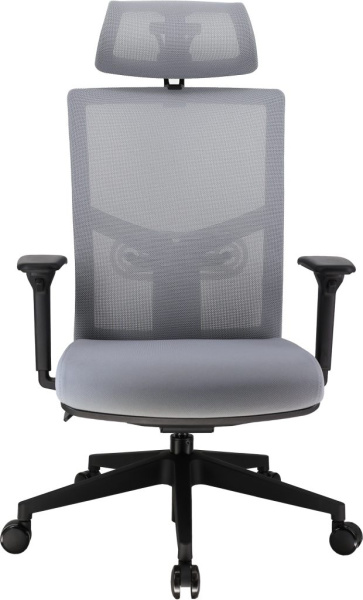 Кресло компьютерное EVERPROF Fuji сетка, серый, крестов. пластик
