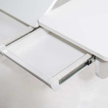 Комплект Ergosmart ученический Caravel S: стол регулируемый Caravel S, полка с подставкой для книг Wooden space S