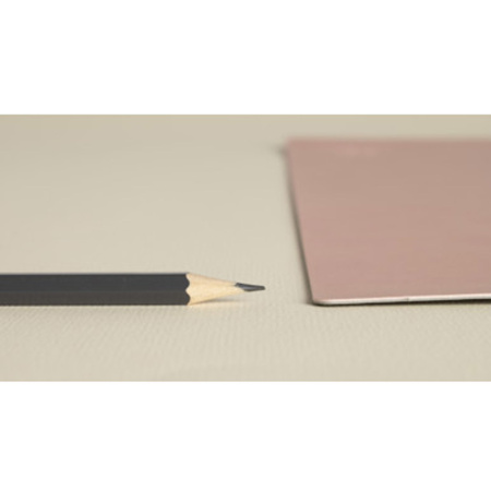 Бювар Exacomta, 40x80 см, серый, пудровый