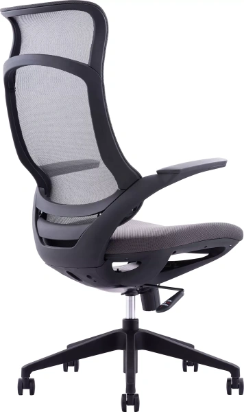 Кресло компьютерное EVERPROF Spirit, сетка, черный