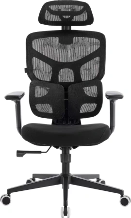 Кресло эргономичное EVERPROF Omega, Black, сетка, черный, металл, корпус черный