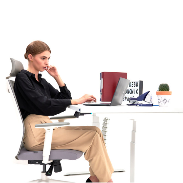 Стол подъемный WellDesk Flagman Bluetooth, (регулируемый по высоте каркас арт. 9042497 и столешница арт. 9031919) Стол подъемный WellDesk Flagman Bluetooth, (регулируемый по высоте каркас арт. 9042497 и столешница арт. 9031919)