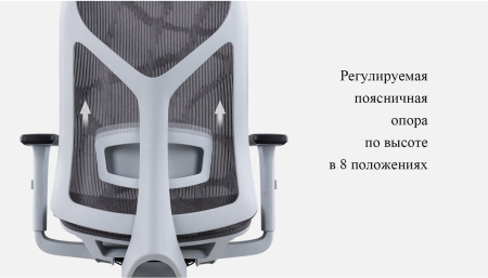 Кресло компьютерное SitZone CH-283A-P1, сетка, черный Кресло компьютерное SitZone CH-283A-P1, сетка, черный