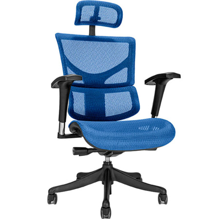 Кресло компьютерное Ergostyle Sail, синий